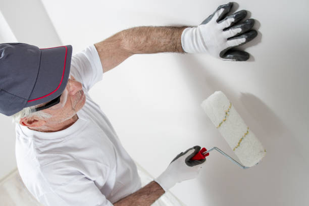 Best Mold Odor Removal Services  in Tariffville, CT
