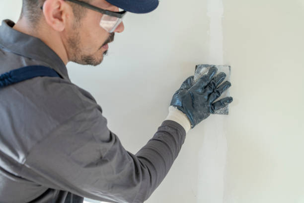 Best Commercial Mold Inspection  in Tariffville, CT