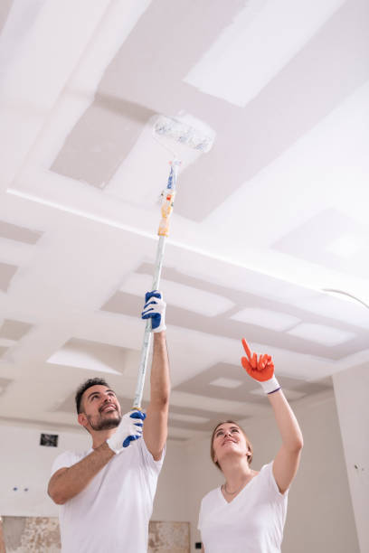 Best Emergency Mold Remediation  in Tariffville, CT