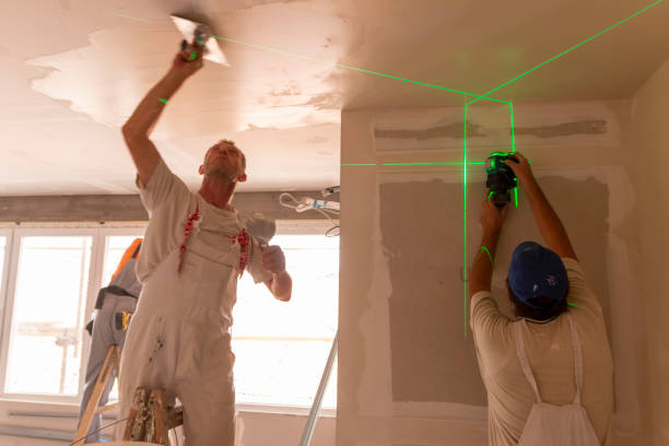 Best Black Mold Removal  in Tariffville, CT